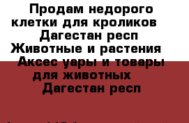 Продам недорого клетки для кроликов  - Дагестан респ. Животные и растения » Аксесcуары и товары для животных   . Дагестан респ.